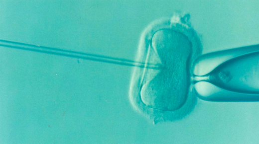baby-produced-